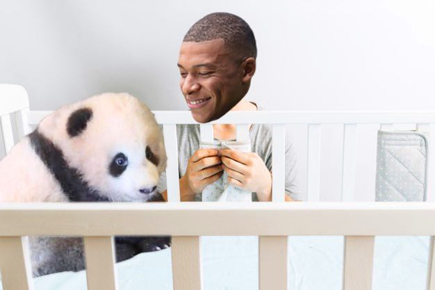 Arrêtez tout : Mbappé va être parrain d’un bébé panda